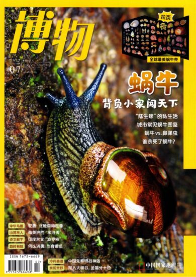 博物杂志-2023.07月刊下载PDF电子版网盘订阅-MagSilo