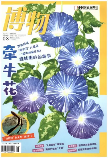 博物杂志-2024年08月号下载PDF电子版网盘订阅（牵牛花）-MagSilo