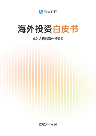 【有知有行】2025海外投资白皮书-MagSilo