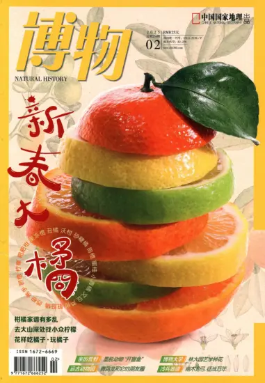 博物杂志-2025.02月号下载PDF电子版网盘订阅-MagSilo