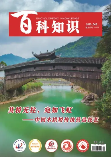 百科知识-2025年第08期下载PDF电子版网盘杂志订阅-MagSilo