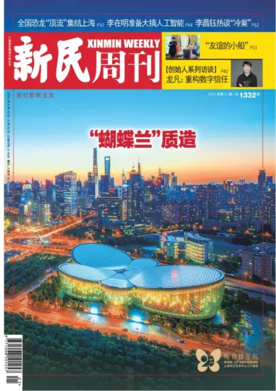 新民周刊杂志-2025年第21期下载PDF电子版网盘订阅-MagSilo