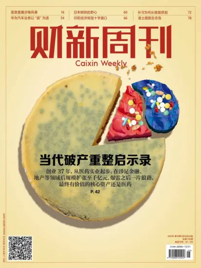 财新周刊-2025年第25期下载电子版网盘第1162期订阅-MagSilo