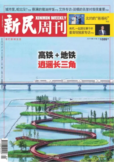 新民周刊杂志-2025年第24期下载PDF电子版网盘订阅-MagSilo