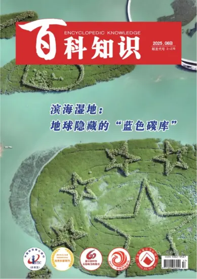 百科知识-2025年第12期下载PDF电子版网盘杂志订阅-MagSilo