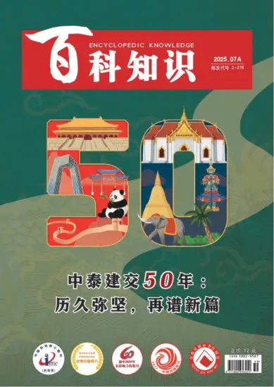 百科知识-2025年第13期下载PDF电子版网盘杂志订阅-MagSilo