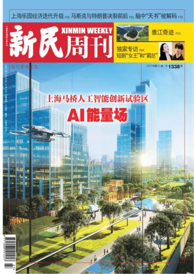 新民周刊杂志-2025年第27期下载PDF电子版网盘订阅-MagSilo