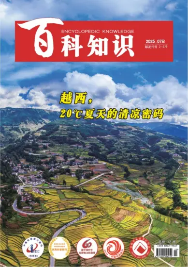 百科知识-2025年第14期下载PDF电子版网盘杂志订阅-MagSilo