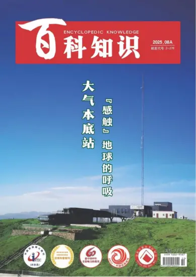 百科知识-2025年第15期下载PDF电子版网盘杂志订阅-MagSilo
