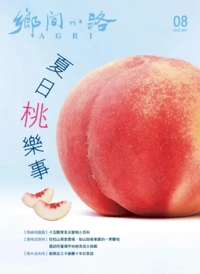 鄉間小路-2025.08月号下载PDF臺灣生活風格雜誌-MagSilo