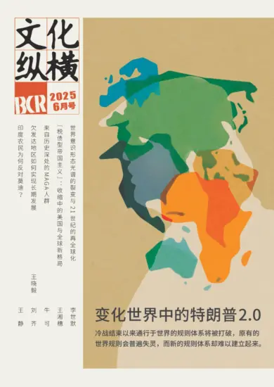 文化纵横-2025.06月号下载PDF电子版网盘杂志订阅-MagSilo