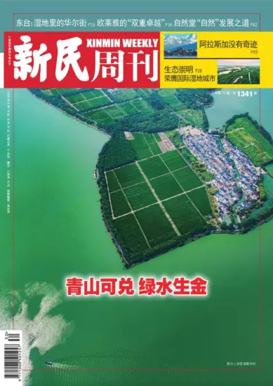 新民周刊杂志-2025年第30期下载PDF电子版网盘订阅-MagSilo