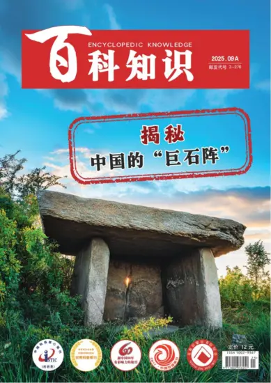 百科知识-2025年第17期下载PDF电子版网盘杂志订阅-MagSilo