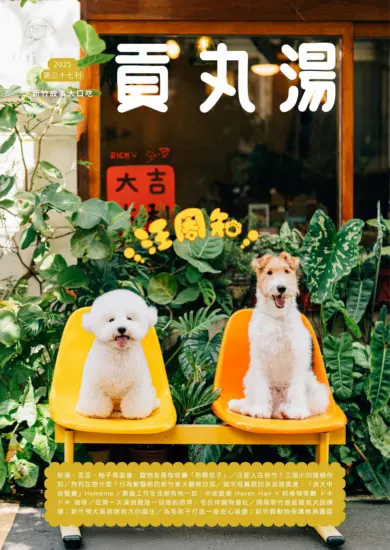 貢丸湯-2025第三十七刊Vol.37-MagSilo