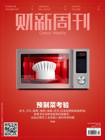 财新周刊-2025年第38期下载电子版网盘第1175期订阅-MagSilo