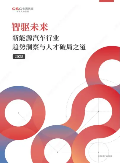 【卡思数据】2025新能源汽车行业趋势洞察与人才破局之道：智驱未来-MagSilo