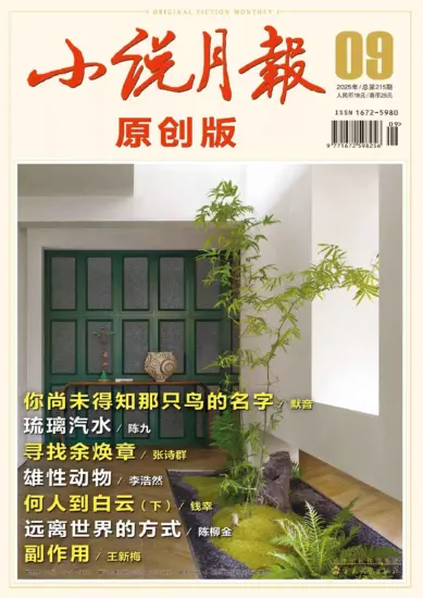 小说月报-2025.09期PDF电子版下载网盘订阅-MagSilo