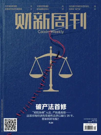 财新周刊-2025年第39期下载电子版网盘第1176期订阅-MagSilo