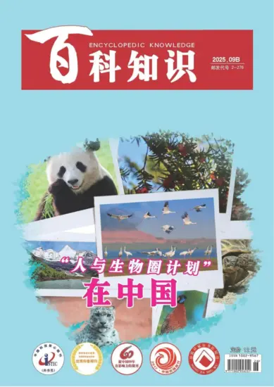 百科知识-2025年第18期下载PDF电子版网盘杂志订阅-MagSilo
