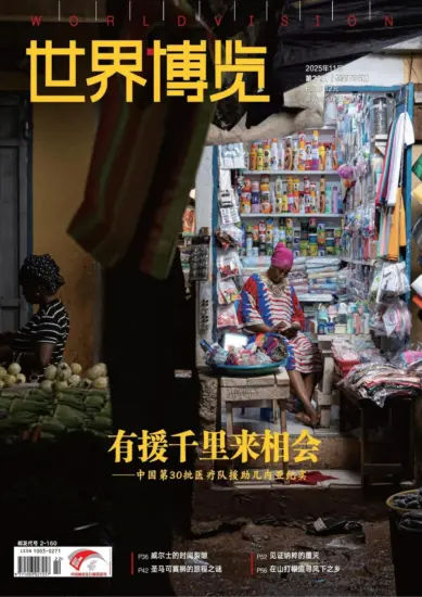 世界博览杂志-2025年第22期下载PDF电子版网盘订阅-MagSilo