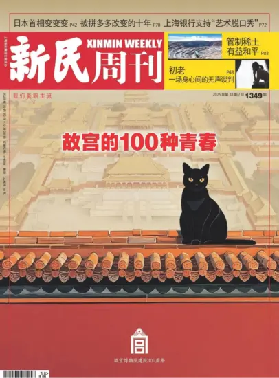 新民周刊杂志-2025年第38期下载PDF电子版网盘订阅-MagSilo