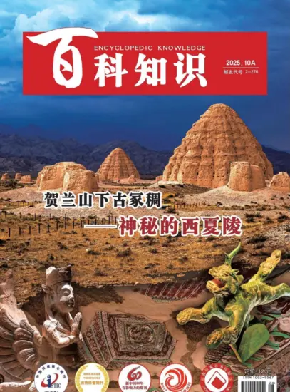 百科知识-2025年第19期下载PDF电子版网盘杂志订阅-MagSilo