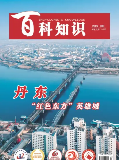 百科知识-2025年第20期下载PDF电子版网盘杂志订阅-MagSilo