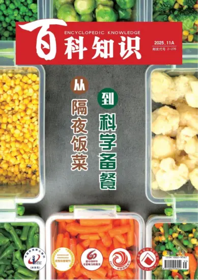 百科知识-2025年第21期下载PDF电子版网盘杂志订阅-MagSilo