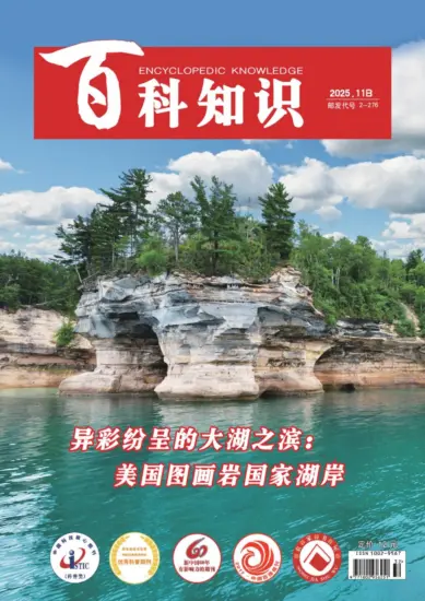 百科知识-2025年第22期下载PDF电子版网盘杂志订阅-MagSilo