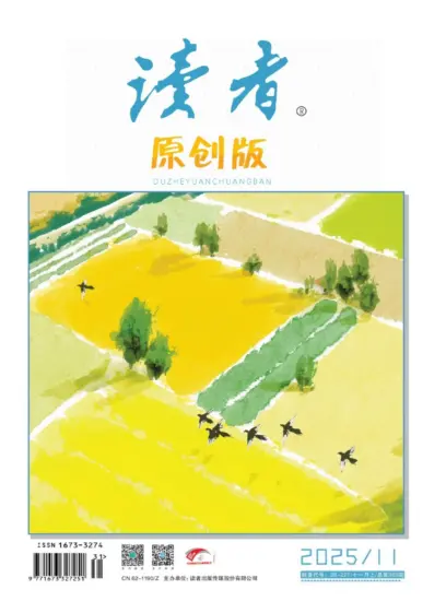 读者原创版-2025.11期下载PDF电子版网盘订阅-MagSilo