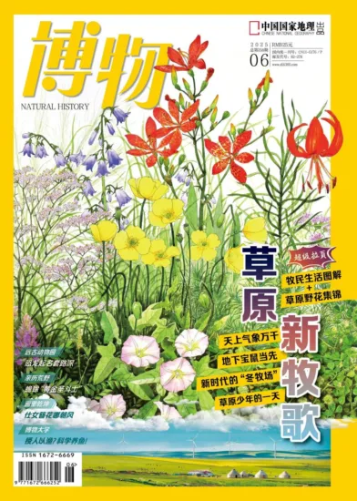 博物杂志-2025.06月号-MagSilo