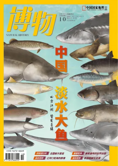 博物杂志-2025.10月号-MagSilo