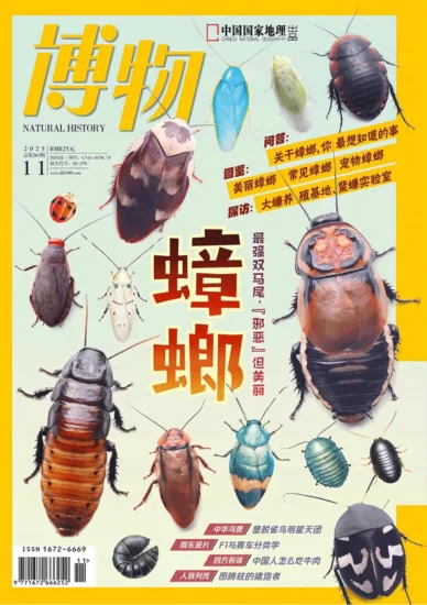 博物杂志-2025.11月号-MagSilo
