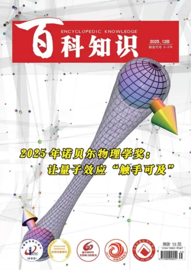 百科知识-2025年第24期下载PDF电子版网盘杂志订阅-MagSilo