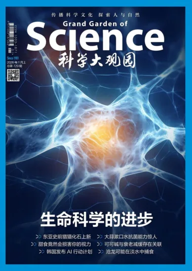 科学大观园-2026年1月上 总第729期-MagSilo