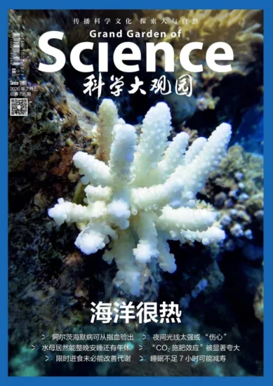 科学大观园-2026年2月上 总第731期-MagSilo