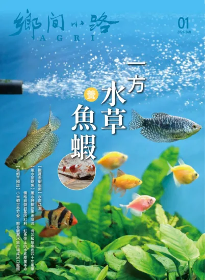 鄉間小路-2026.01月号 一方水草養魚蝦-MagSilo